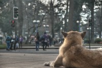 /album/urbana/dsc1231-7-8-9-tonemapped-jpg/